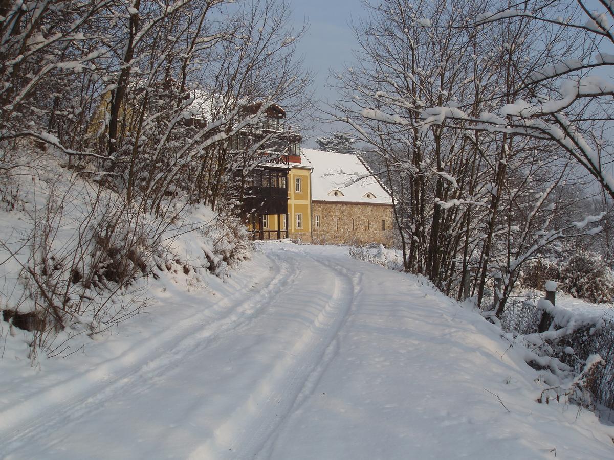 Dom Goscinny Pod Zamkiem Wlen ภายนอก รูปภาพ