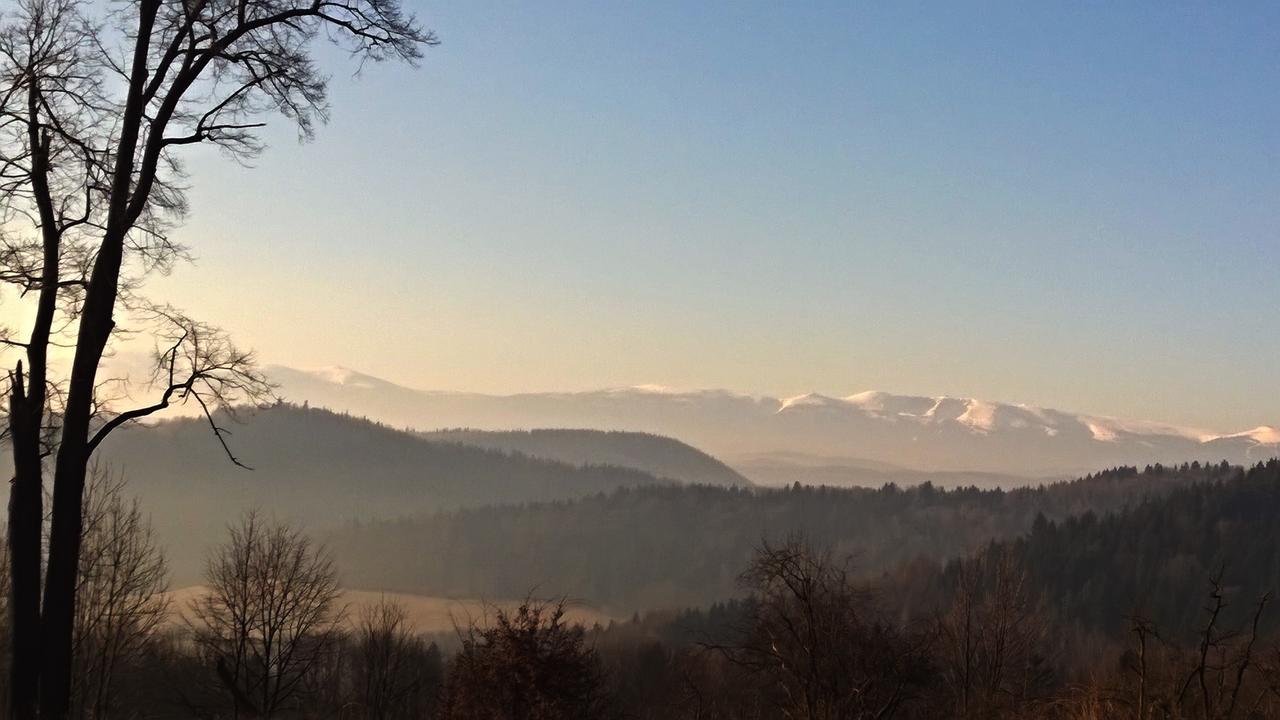 Dom Goscinny Pod Zamkiem Wlen ภายนอก รูปภาพ