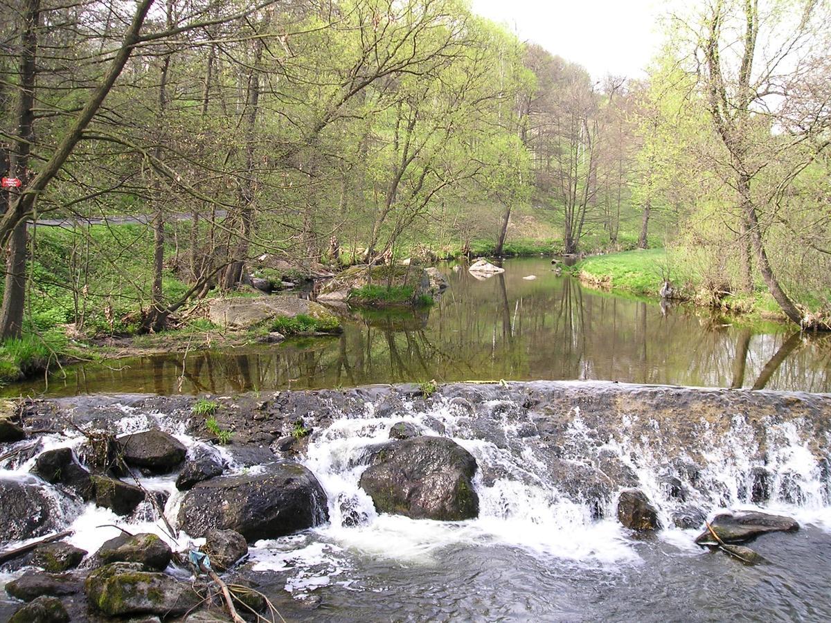 Dom Goscinny Pod Zamkiem Wlen ภายนอก รูปภาพ